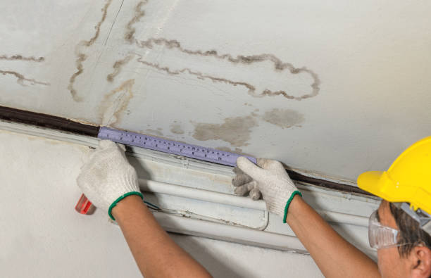 Reliable Water Damage contractor in Dibble, OK by Water Damage Irwin